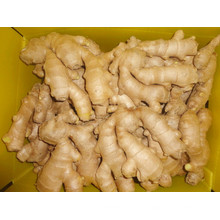 Professional Export Air Dry Ginger / Vegetable